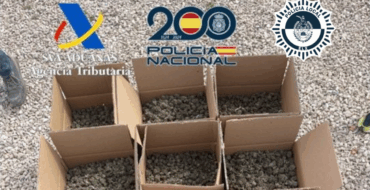 Desmantelan un cultivo indoor de marihuana en Elche