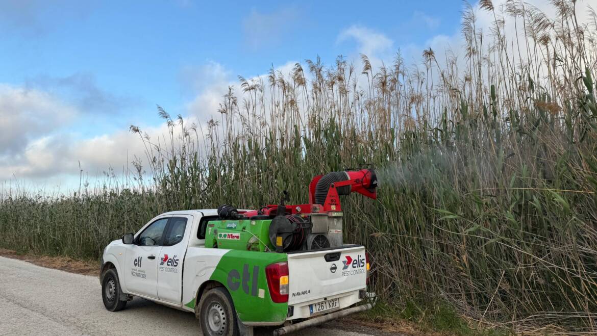 Elx intensifica les fumigacions contra els mosquits en tot el terme municipal