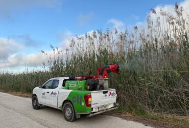 Elche intensifica las fumigaciones contra los mosquitos en todo el término municipal