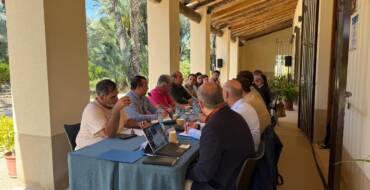 Elche avanza en el desarrollo del Plan de Uso y Gestión del Palmeral