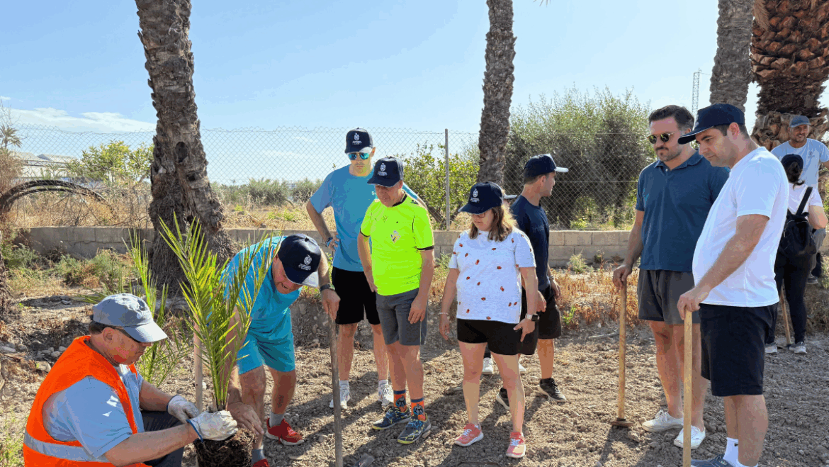 Entidades de discapacidad colaboran en el replantado de palmeras en el huerto del Bosquet