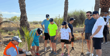 Entidades de discapacidad colaboran en el replantado de palmeras en el huerto del Bosquet