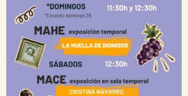 Visitas en el MAHE y el MACE durante el mes de junio
