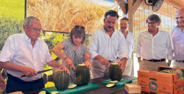 Comienza la campaña del Melón de Carrizal con el tradicional corte simbólico