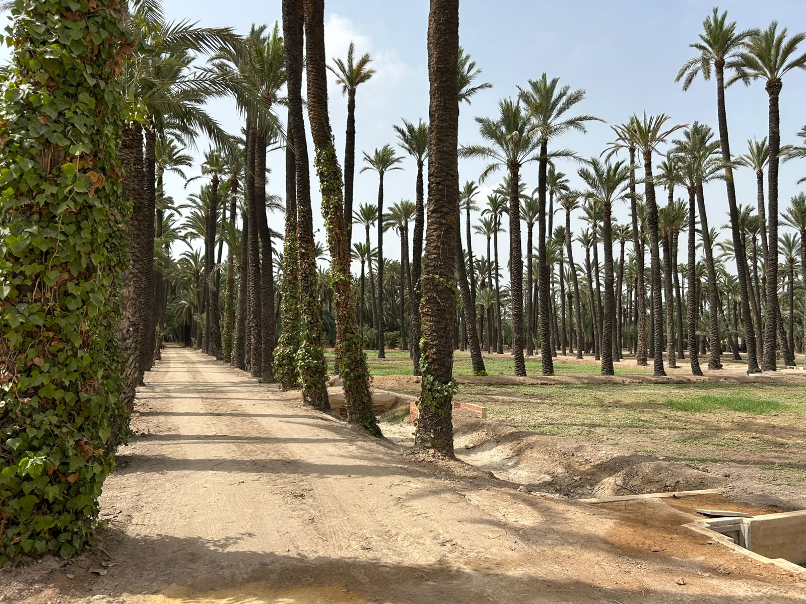 El Ayuntamiento culmina la recuperación de l’Hort del Gat y presenta la restauración de seis pinturas de Torres Bru y Cañizares (4)