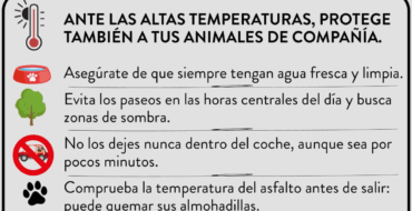 El nivel naranja por altas temperaturas se amplia hasta este jueves