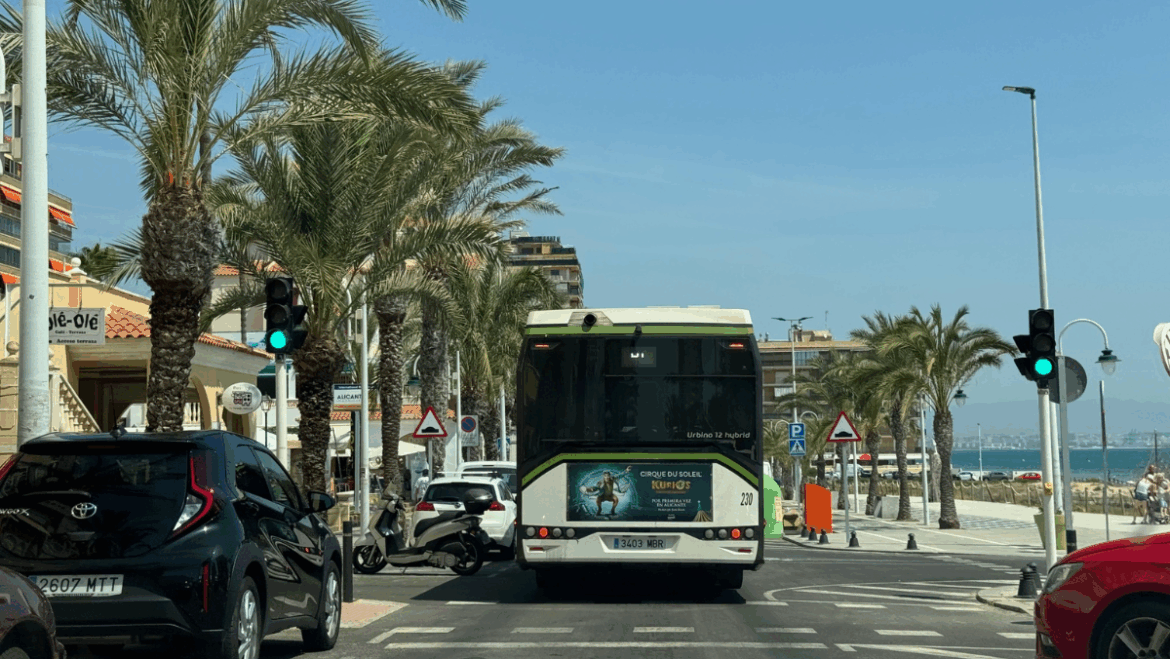 Elche pone en marcha las líneas de autobuses especiales de playas para los meses de julio y agosto