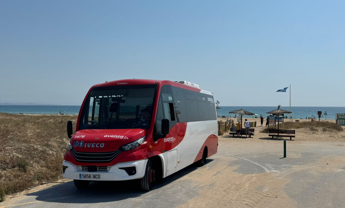 Elche pone en marcha las líneas de autobuses especiales de playas para los meses de julio y agosto (2)