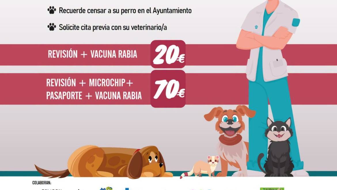 Elx posa en marxa la campanya d’identificació i vacunació contra la ràbia