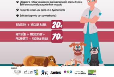 Elche pone en marcha la campaña de identificación y vacunación contra la rabia