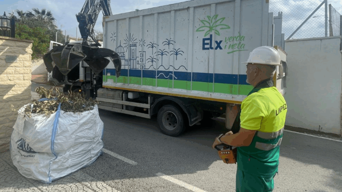 La recollida de poda porta a porta al Camp d’Elx registra rècord amb 169.000 quilos arreplegats en un mes