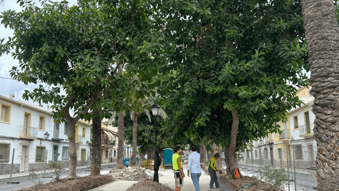 Continuen les obres de reforma de les jardineres de Bisbe Barrachina