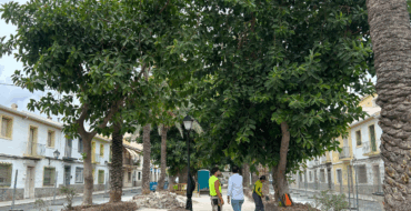 Continúan las obras de reforma de las jardineras de Obispo Barrachina