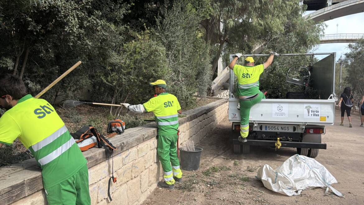 Intensifican los trabajos de mantenimiento y cuidado de los espacios verdes del municipio