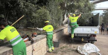 Intensifiquen els treballs de manteniment i cura dels espais verds del municipi