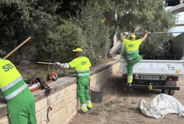 Intensifican los trabajos de mantenimiento y cuidado de los espacios verdes del municipio