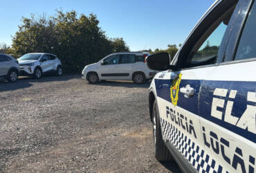 El Ayuntamiento de Elche actúa sobre dos campas de vehículos en Saladas y El Altet con alrededor de 500 coches