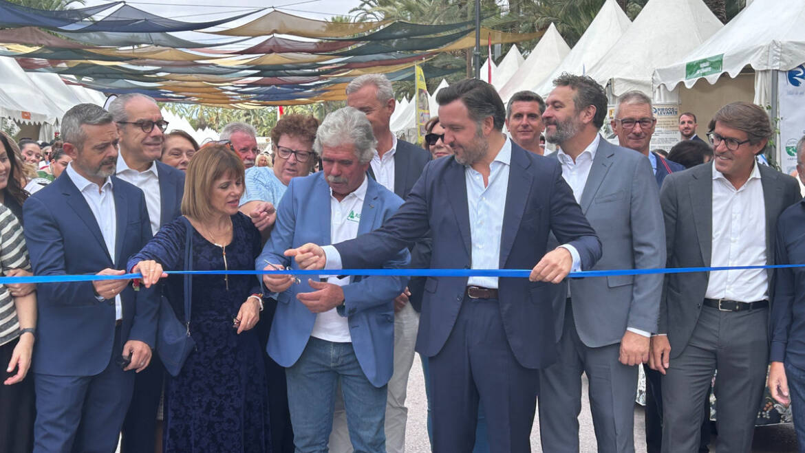 El passeig de l’Estació acull fins al pròxim 12 d’octubre una nova edició de la Fireta del Camp d’Elx