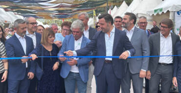 El Paseo de la Estación acoge hasta el próximo 12 de octubre una nueva edición de la Fireta del Camp d’Elx