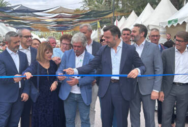 El Paseo de la Estación acoge hasta el próximo 12 de octubre una nueva edición de la Fireta del Camp d’Elx